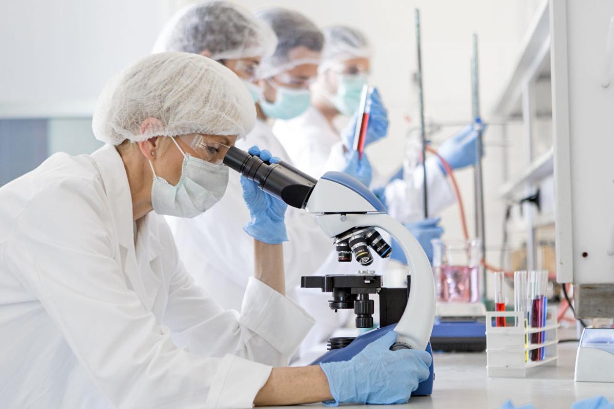 Scientists looking through microscopes